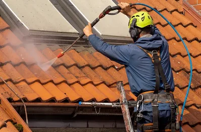 Démoussage et hydrofuge de toiture à Morthomiers